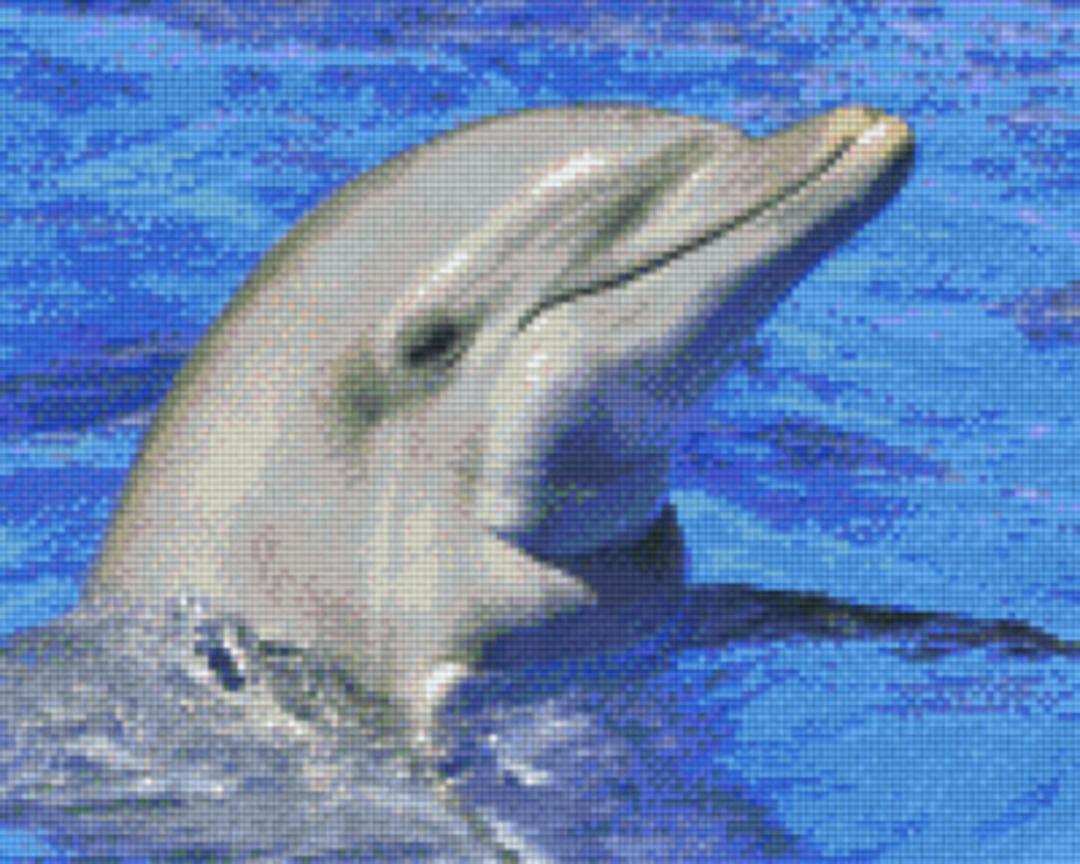 Dolphin Nine [9] Baseplate PixelHobby Mini-mosaic Art Kit image 0